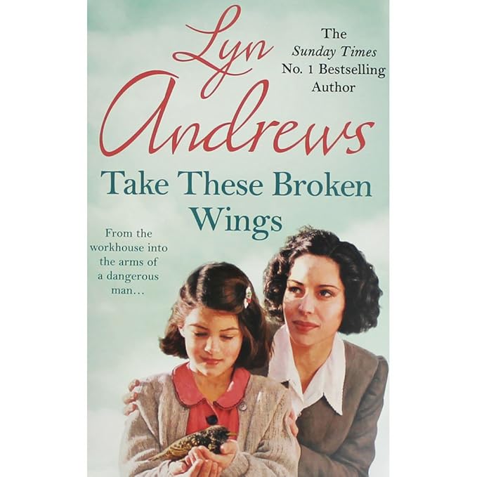 Preloved Take these Broken Wings: Can she escape her tragic past?