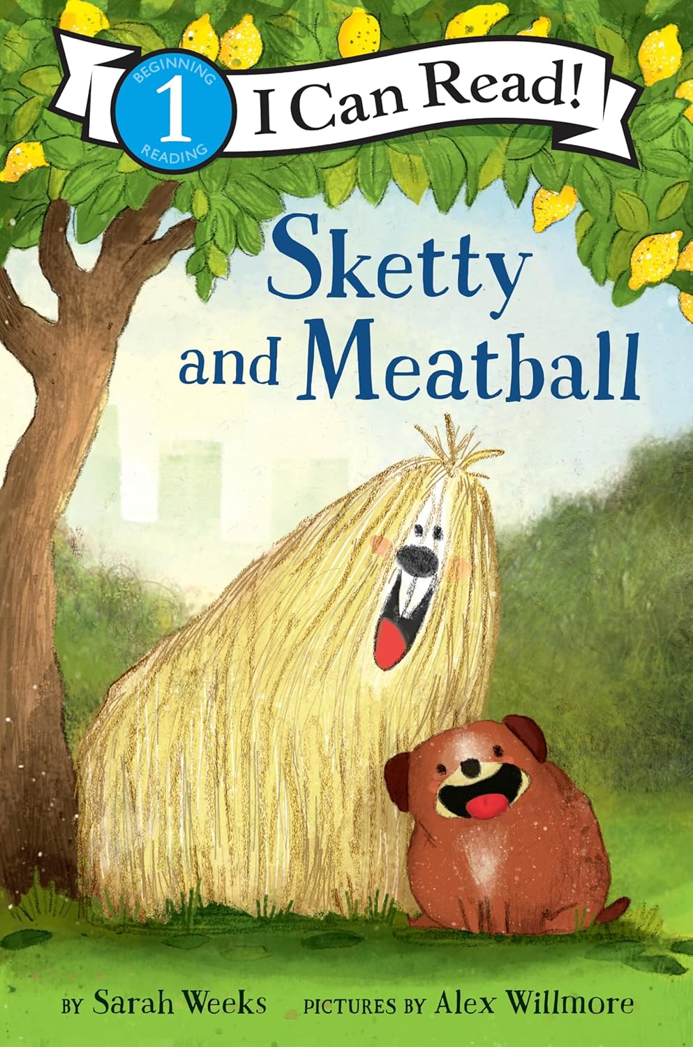 SKETTY AND MEATBALL