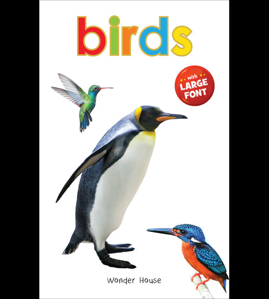 Birds - Early Learning Board Book With Large Font : Big Board Books Series