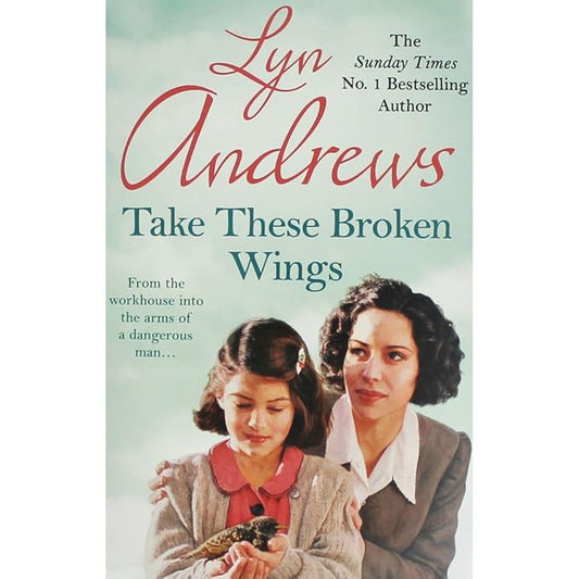 Preloved Take these Broken Wings: Can she escape her tragic past?