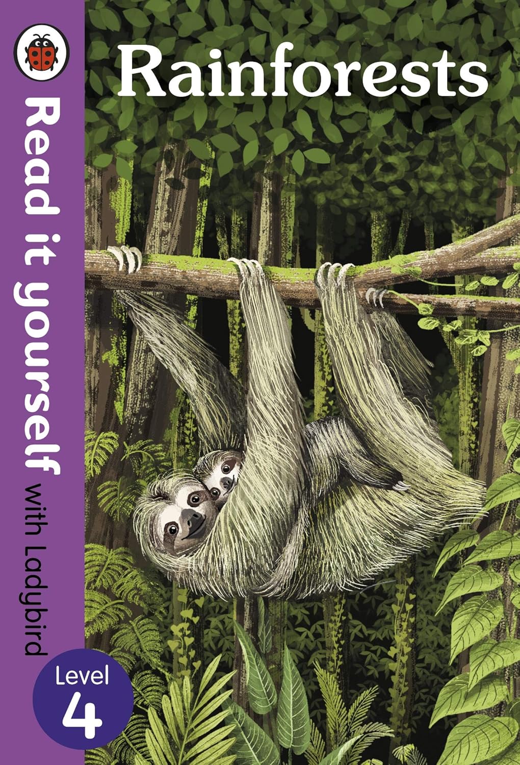 Rainforests: Level 4