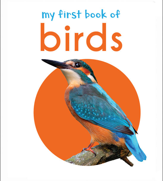 My First Book of Birds: First Board Book