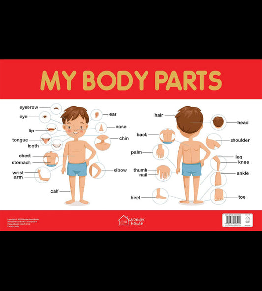 My Body Parts Chart - Early Learning Educational Chart For Kids: Perfect For Homeschooling, Kindergarten and Nursery Students (11.5 Inches X 17.5 Inches)